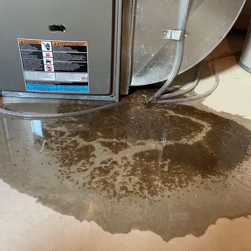 Appliance Leak Cleanup in Sandy Valley, NV